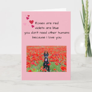 Happy Valentine's Day From The Dog Lover Photo Card