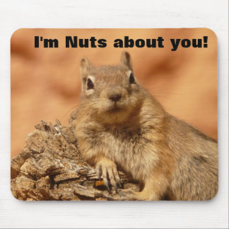 Happy Valentines Day Funny Squirrel Mouse Pad