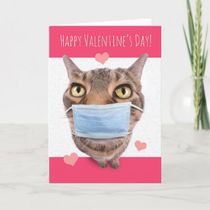 Happy Valentine's Day Funny Tabby Cat in Face Mask Holiday Card