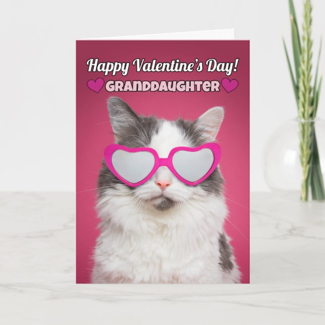 Happy Valentine's Day Granddaughter Cute Cat Holiday Card (Front)