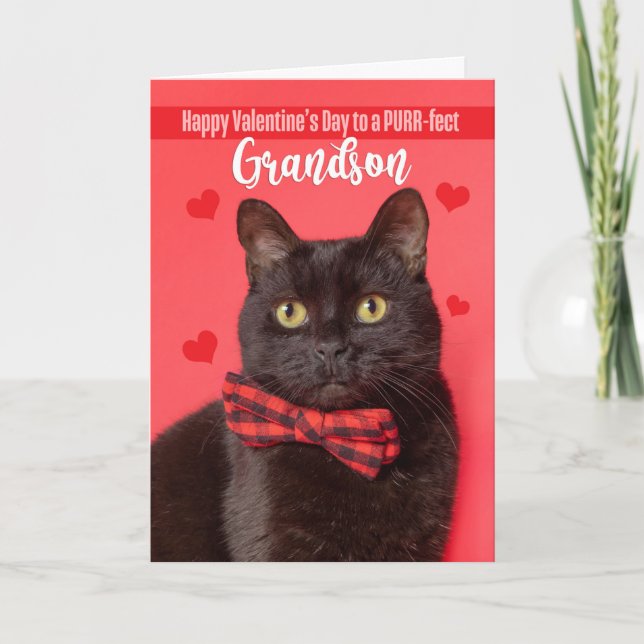Happy Valentine's Day Grandson Cute Cat in Bow Tie Holiday Card (Front)