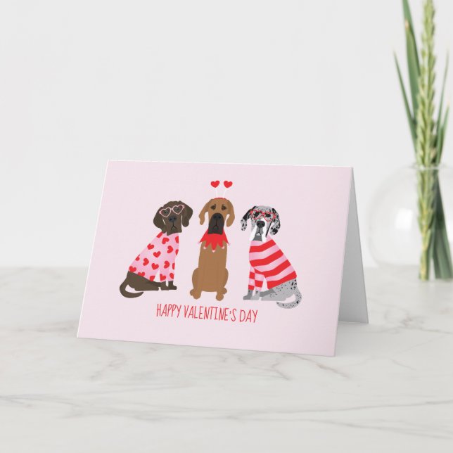 Happy Valentines Day Great Dane Dogs Holiday Card (Front)