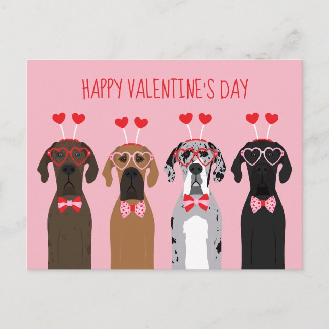 Happy Valentines Day Great Dane Dogs Postcard (Front)