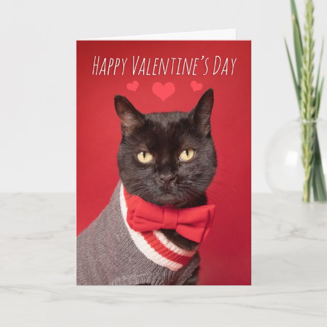 Happy Valentine's Day Handsome Black Cat Bow Tie Holiday Card (Front)