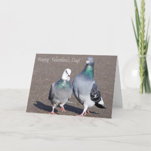 Happy Valentine's Day! Holiday Card