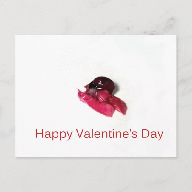Happy Valentine's Day Holiday Postcard (Front)
