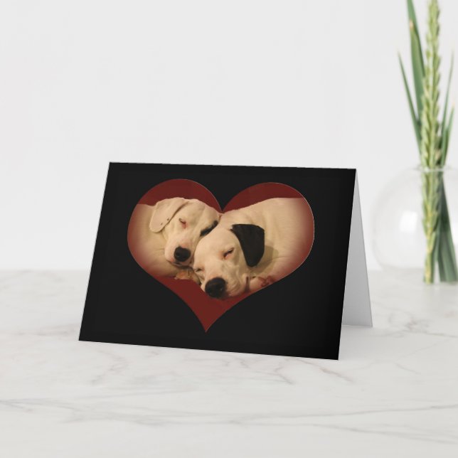 Happy Valentine's Day, Honey! Holiday Card (Front)