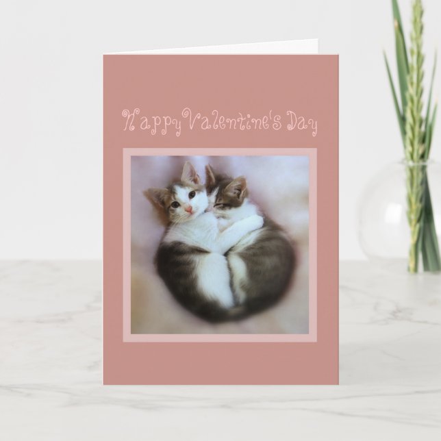 Happy Valentine's Day Kittens in Love Holiday Card (Front)