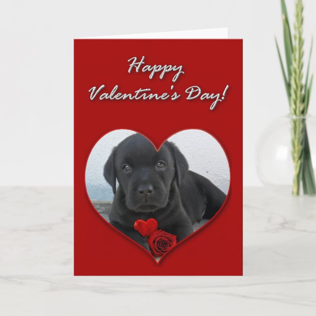 Happy Valentine's Day Labrador puppy card (Front)