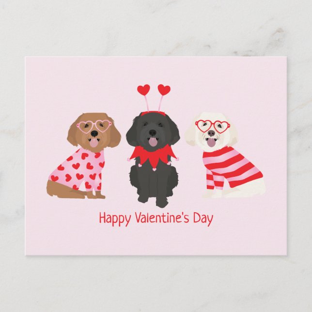 Happy Valentines Day Maltipoo Dogs Postcard (Front)