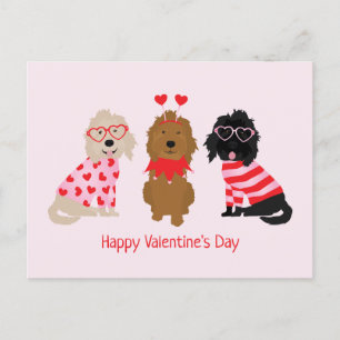 Happy Valentines Day Mini Goldendoodle Dogs Postcard