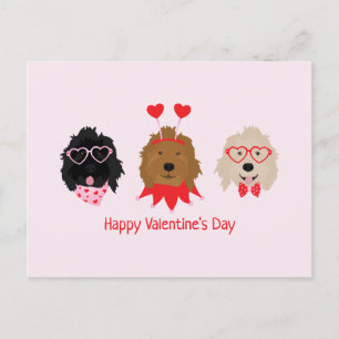 Happy Valentines Day Mini Goldendoodle Dogs Postcard