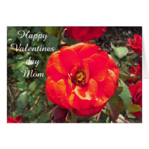 HAPPY VALENTINES DAY MOM card