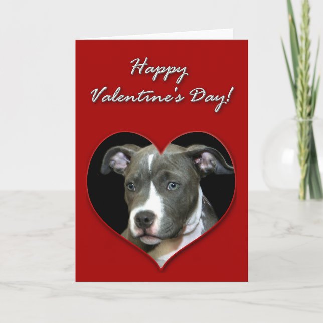 Happy Valentines Day Pitbull puppy Card (Front)