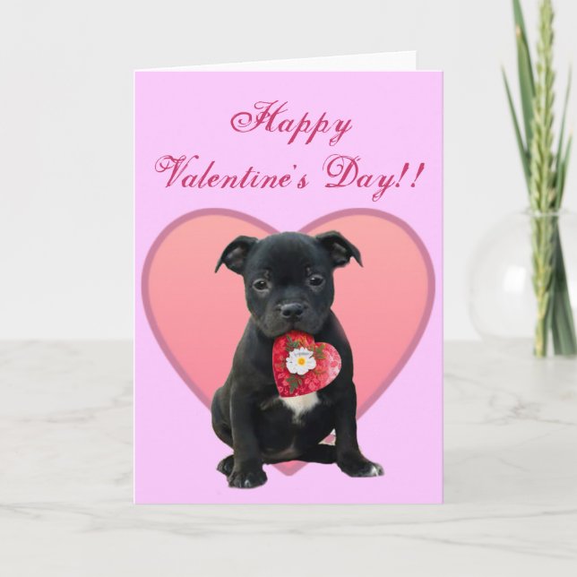 Happy Valentine's Day Pitbull Puppy greeting card (Front)