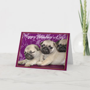 Happy Valentine's Day Pug puppies greeting card