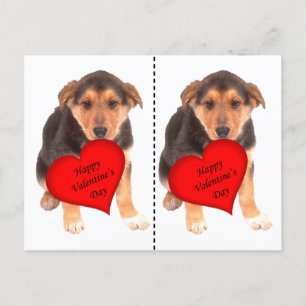 Happy Valentine's Day Puppy Holiday Postcard
