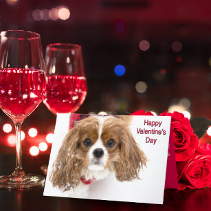 Happy Valentine's Day Snowy Cavalier King Charles Holiday Card