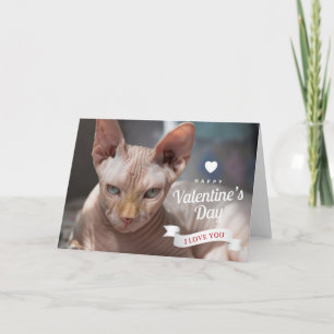 Happy Valentine's Day Sphynx Hairless Cat Card