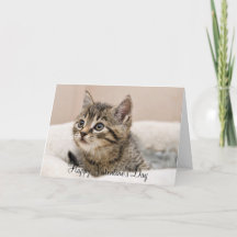 Happy Valentine's Day Tiger Kitten Greeting Card