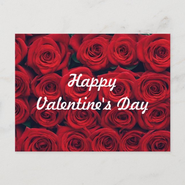Happy Valentine's Day Vibrant Red Roses  Holiday Postcard (Front)