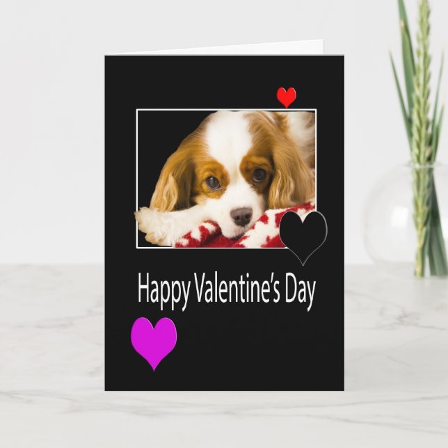 Happy Valentine's Day With King Charles Spaniel Holiday Card (Front)
