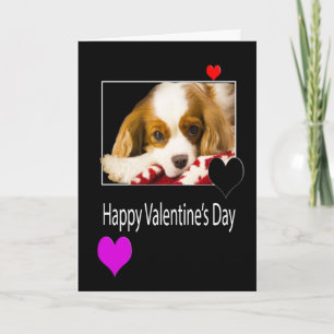 Happy Valentine's Day With King Charles Spaniel Holiday Card