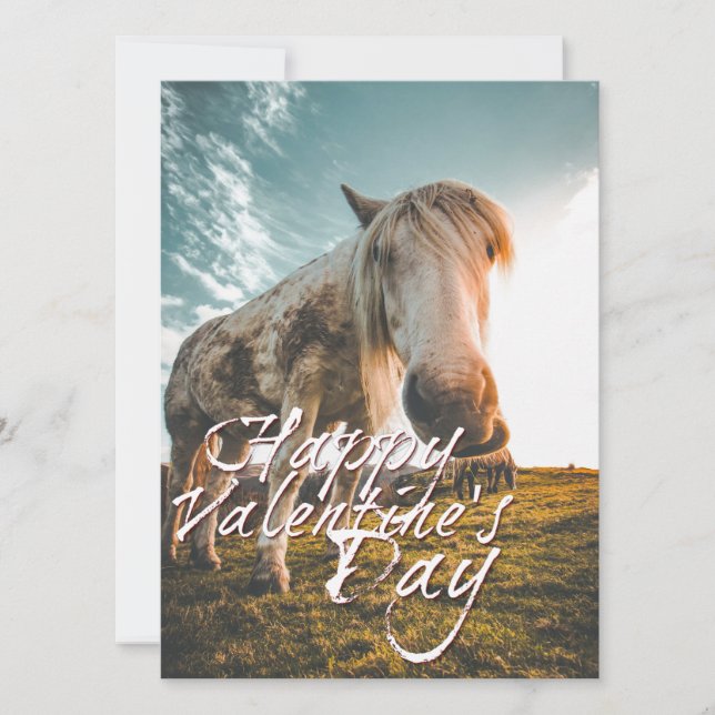 Happy Valentine's day with looking Horse (Front)