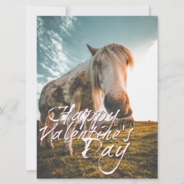 Happy Valentine's day with looking Horse (Front)