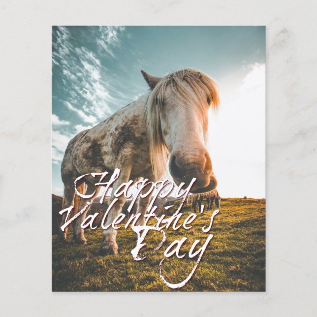 Happy Valentine's day with looking Horse (Front)