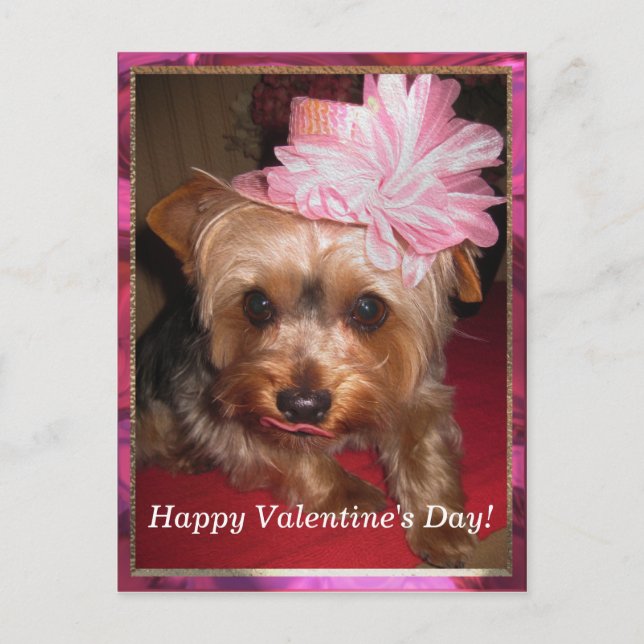 Happy Valentines Day Yorkie Holiday Postcard (Front)