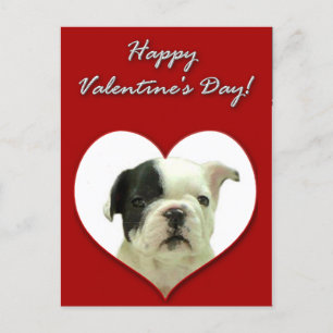 Happy Valentine's  French Bulldog puppy postcard