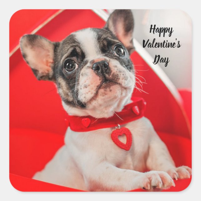 Happy Valentine's French Bulldog Sticker (Front)