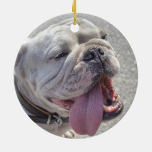 Happy White Bulldog Ceramic Ornament