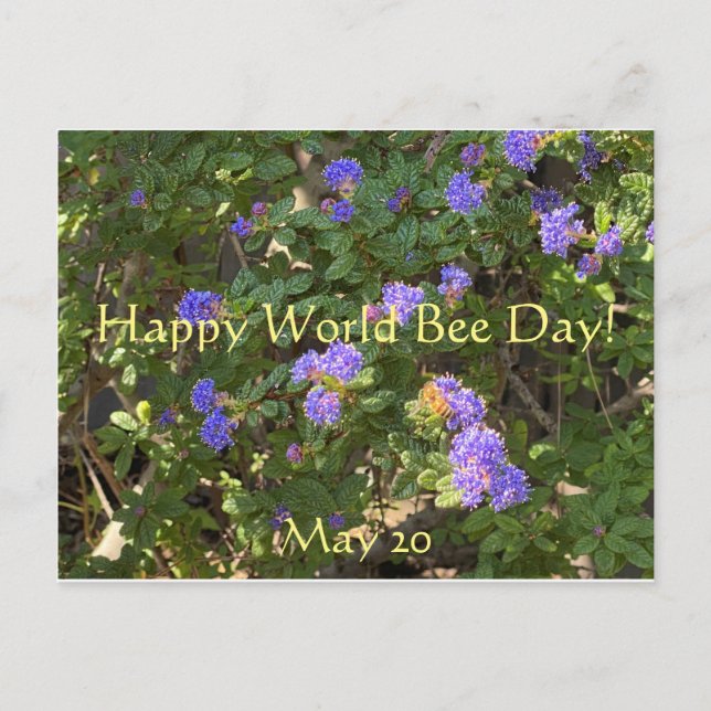 Happy World Bee Day! Postcard (Front)