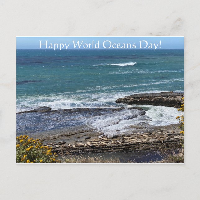Happy World Oceans Day! Postcard (Front)