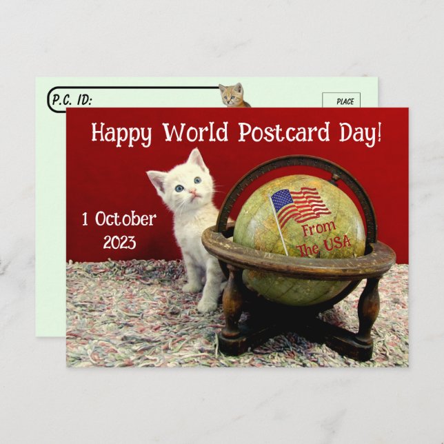 Happy World Postcard Day With Tuffy McStuff - Cat (Front/Back)