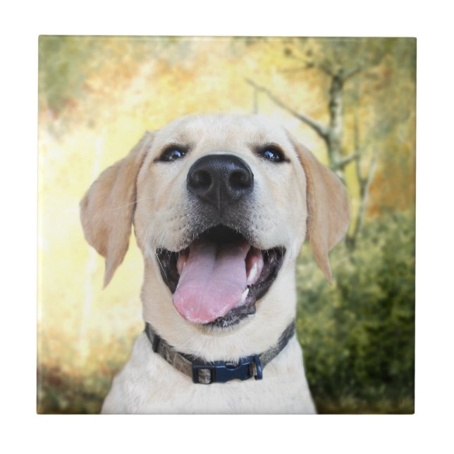 Happy Yellow Lab Tile (Front)