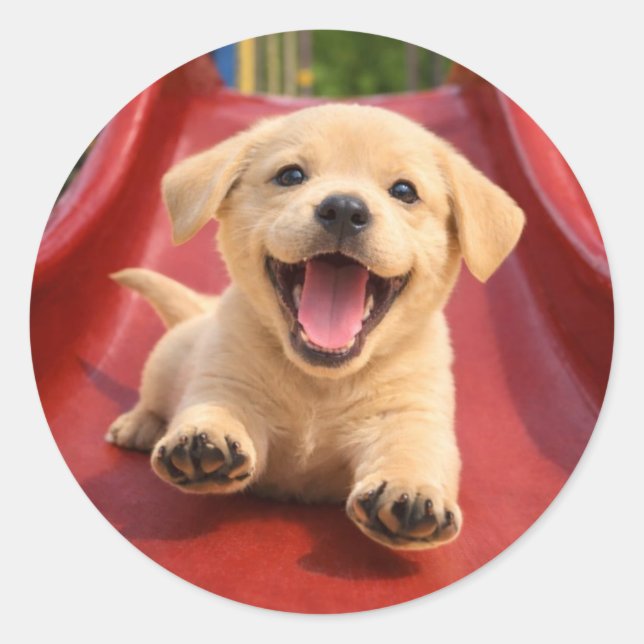 Happy Yellow Labrador Puppy Sliding a slide Classic Round Sticker (Front)