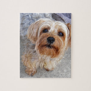 Happy Yorkie Puppy Jigsaw Puzzle