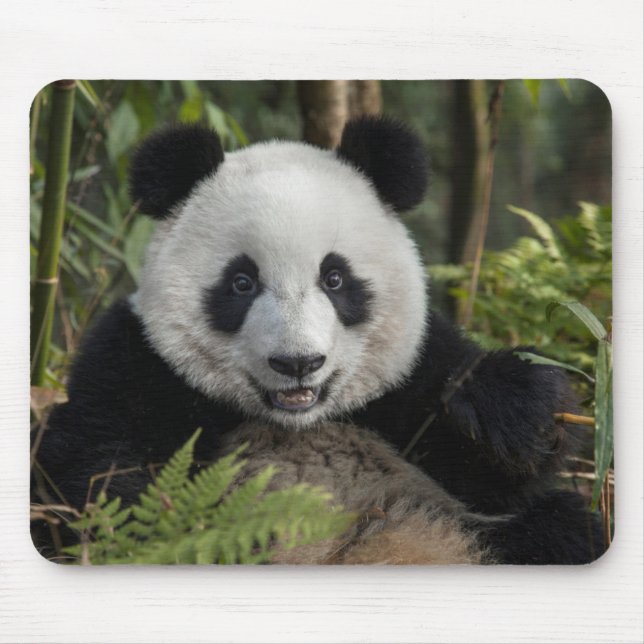 Happy young panda, China Mouse Pad (Front)