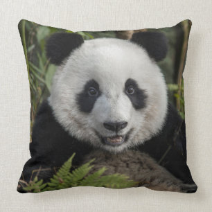 Happy young panda, China Throw Pillow