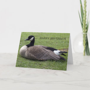 Hapy Bithday, wild duck on grasses Card