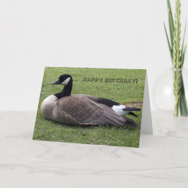 Hapy Bithday, wild duck  on grasses Card (Front)