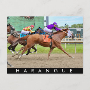 Harangue Postcard