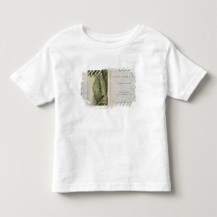 Harar from the Coffe Stream, from 'First Footsteps Toddler T-shirt