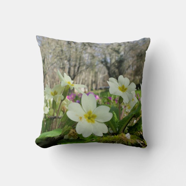 Harbinger du coussin de printemps (Recto)