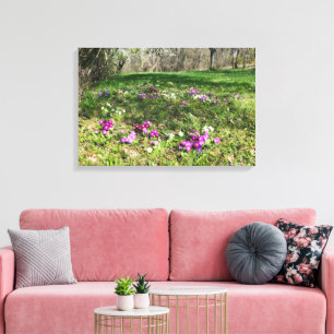 Harbinger of Spring Canvas Print