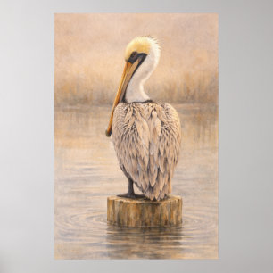 Harbor Pelican Coastal Wildlife Art Poster