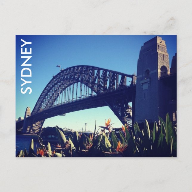 harbour bridge paradise postcard (Front)